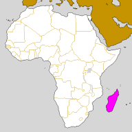 Madagascar_Afrique_carte